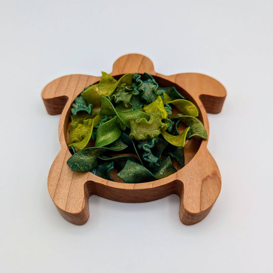 Mini Turtle Sensory Play Tray