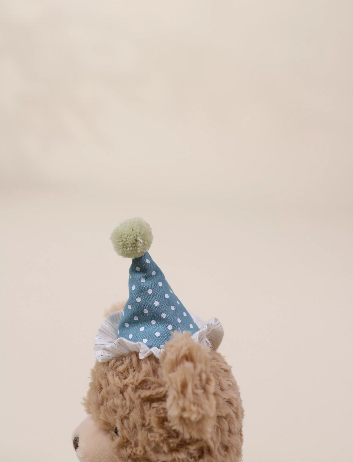 Bear Birthday Plush Toy