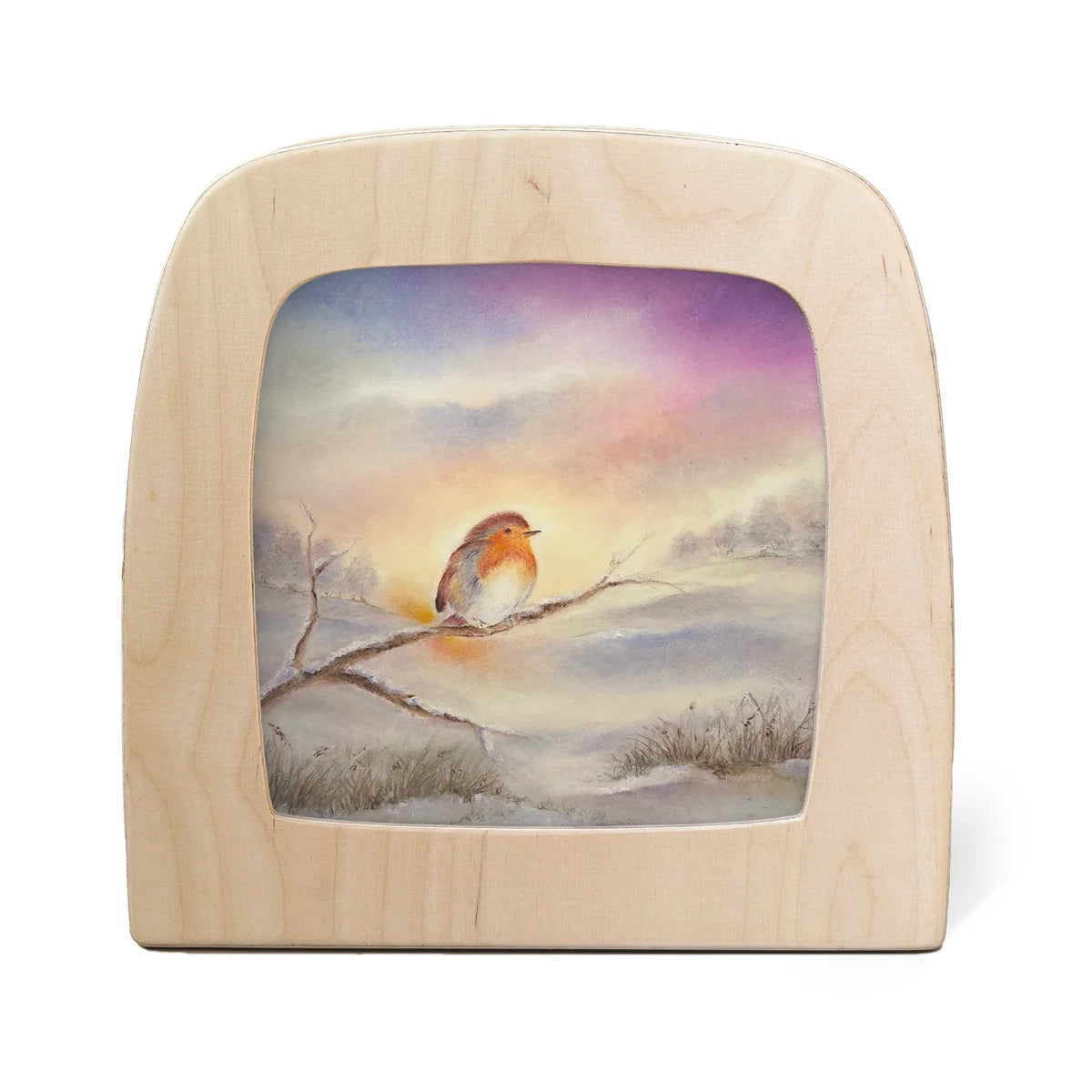 Baukje Exler silhouette - Winter Robin