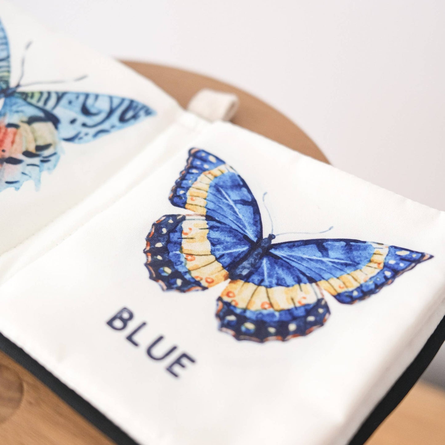 COLORS OF BUTTERFLIES // Soft book