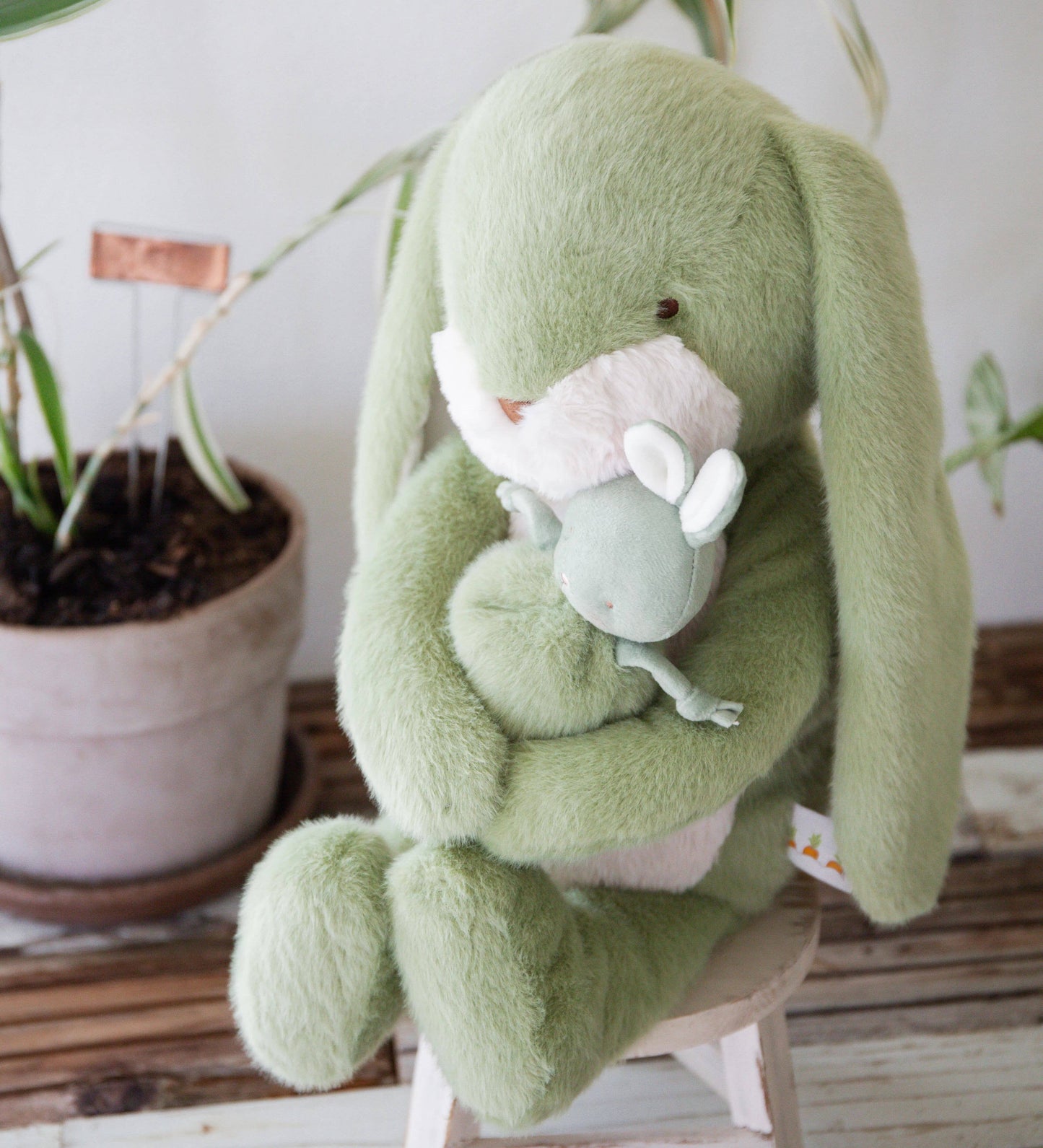 Pistachio Roly Poly Bunny