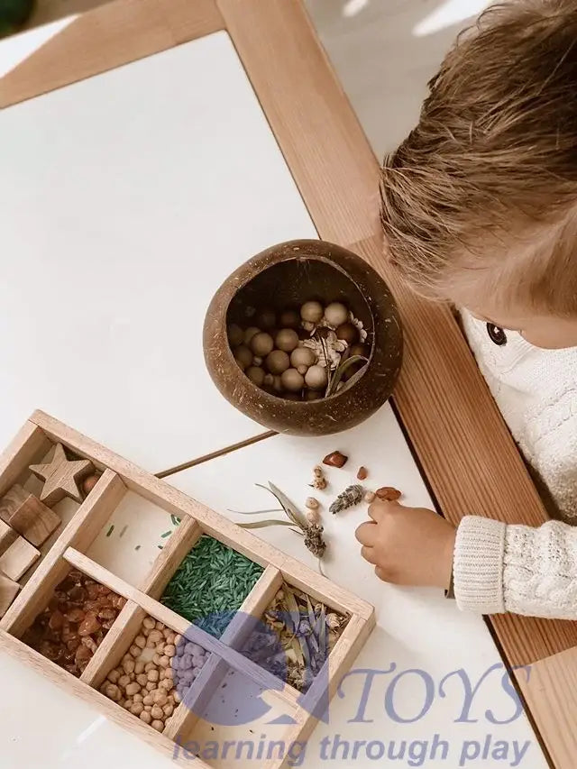 Coconut Sensory Bowl