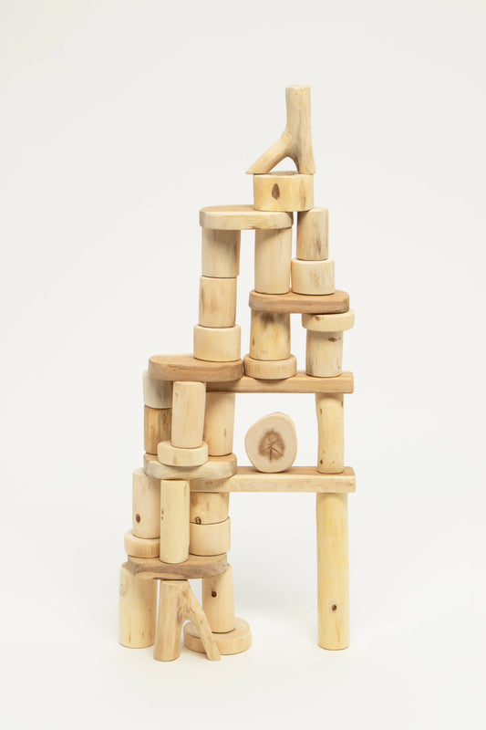 Bark-less blocks - 36 pcs