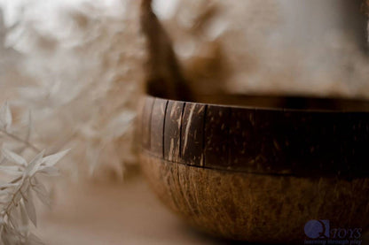 Coconut Basket