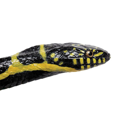 Chain Kingsnake
