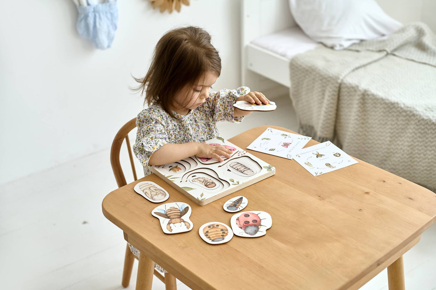 Insects' Life Cycle Wooden Puzzle