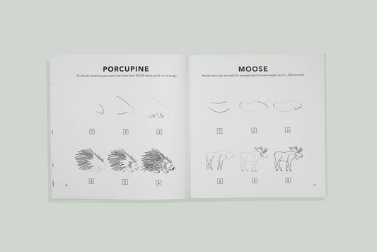 Mushrooms & Woodland Creatures: A How to Draw Art Book for Kids