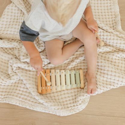 Neutral Colored Xylophone