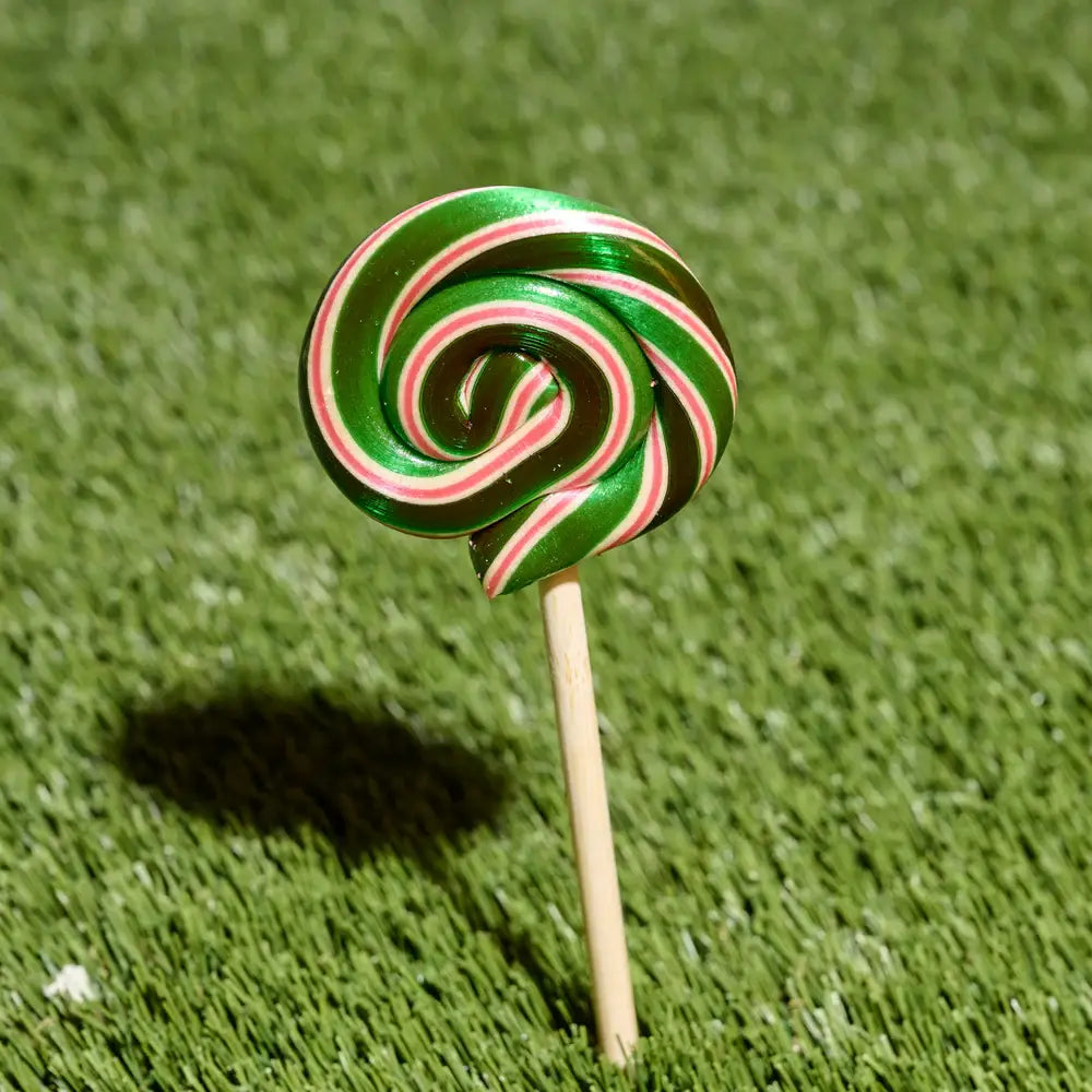Handmade Lollipop - Watermelon
