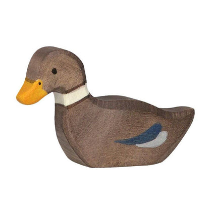 Duck, sitting