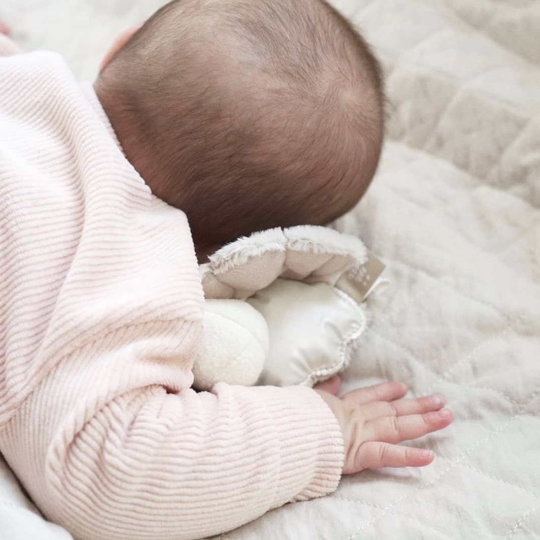 Clam and Pearl Rattle
