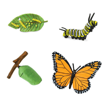 Life Cycle Of A Monarch Butterfly – Pear + Pei