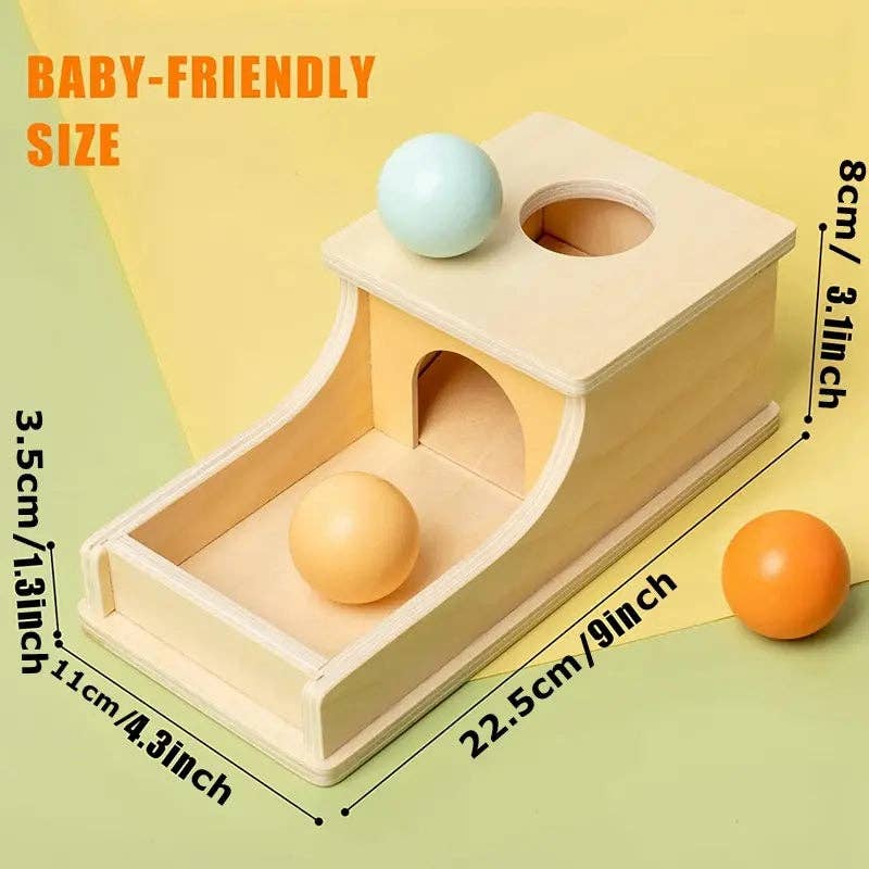 Montessori Wooden Ball Box