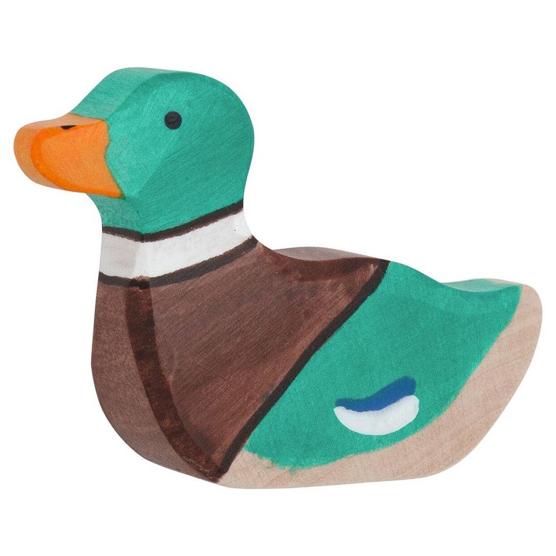 Mallard, sitting