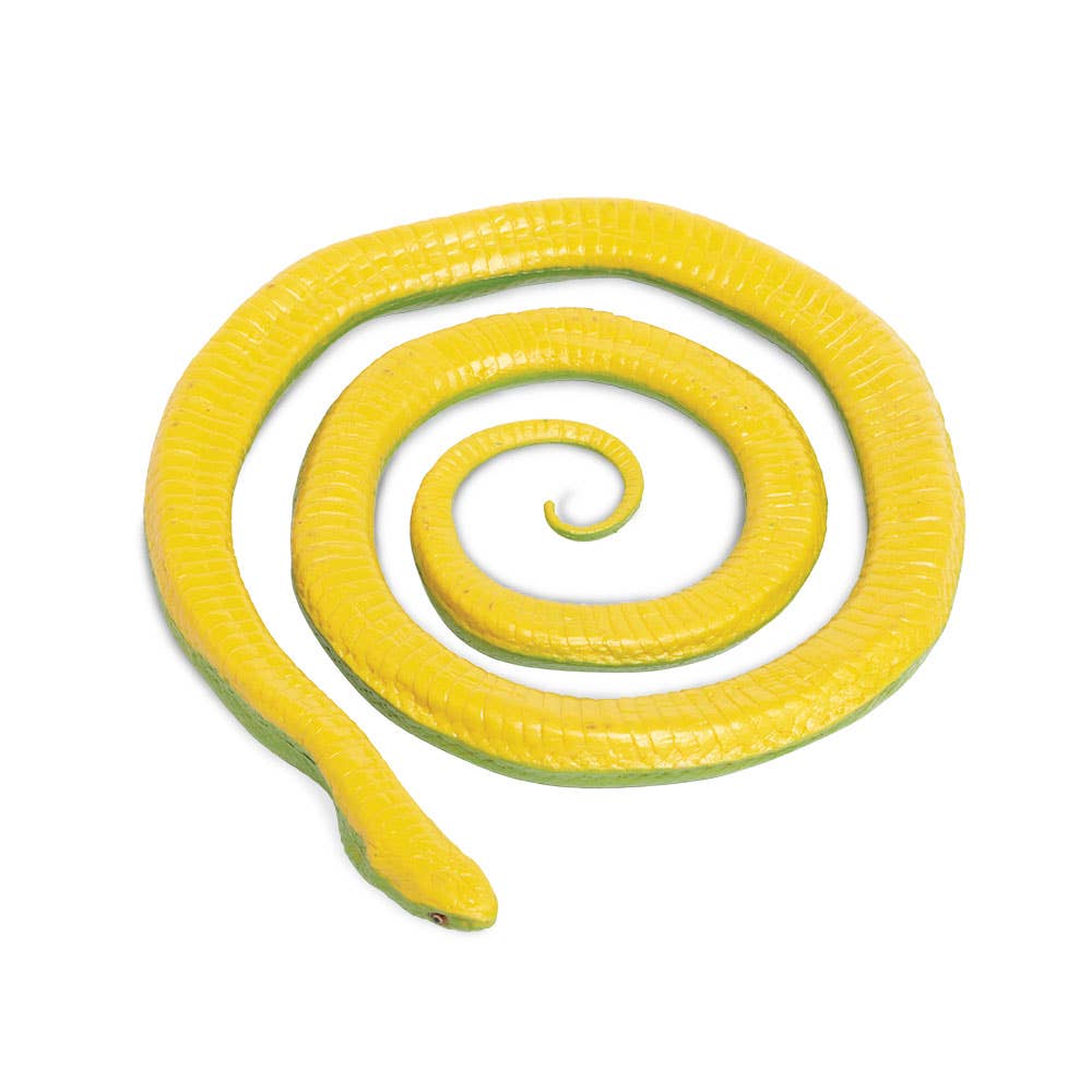 Rough Green Snake