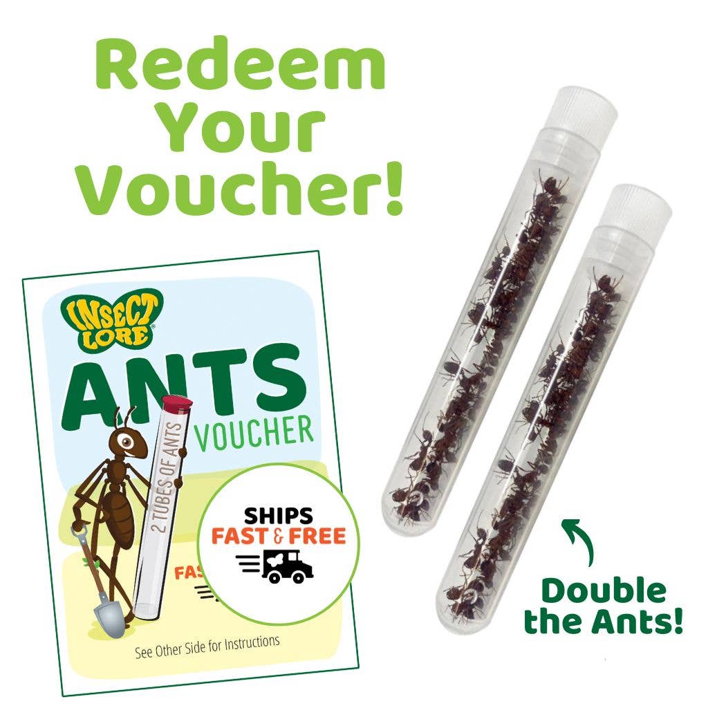 Ant Hill™ Tunneling Kit with PREPAID Voucher