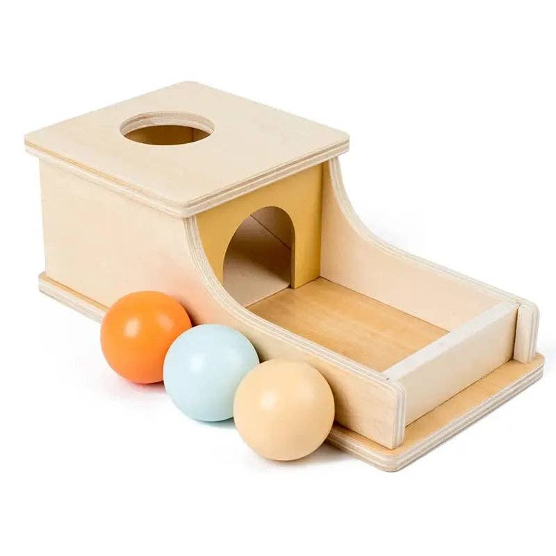 Montessori Wooden Ball Box
