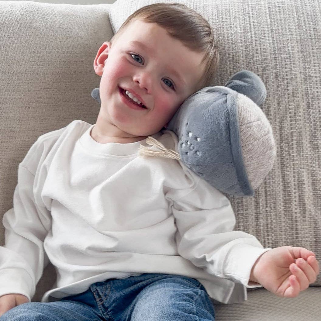 A Whale Called Wally