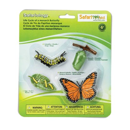 Life Cycle Of A Monarch Butterfly – Pear + Pei