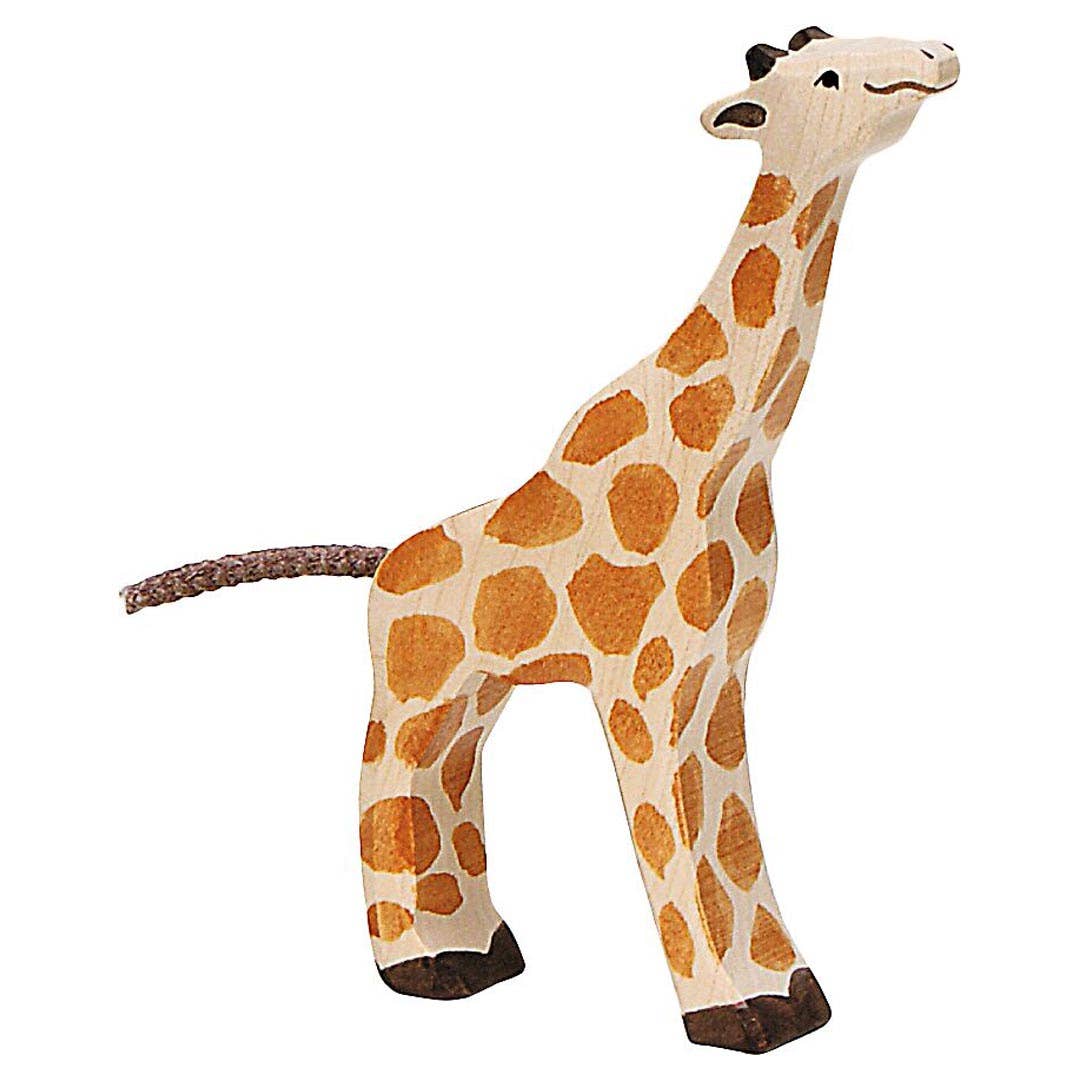 Giraffe, small, feeding