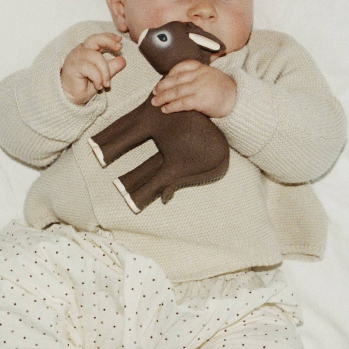 Hector The Donkey