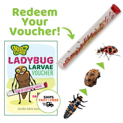 Ladybug Land® Growing Kit with PREPAID Voucher