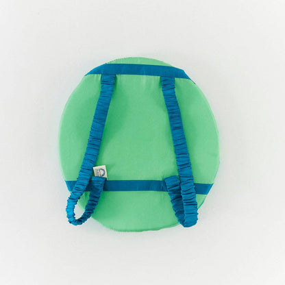 Sea Turtle Shell