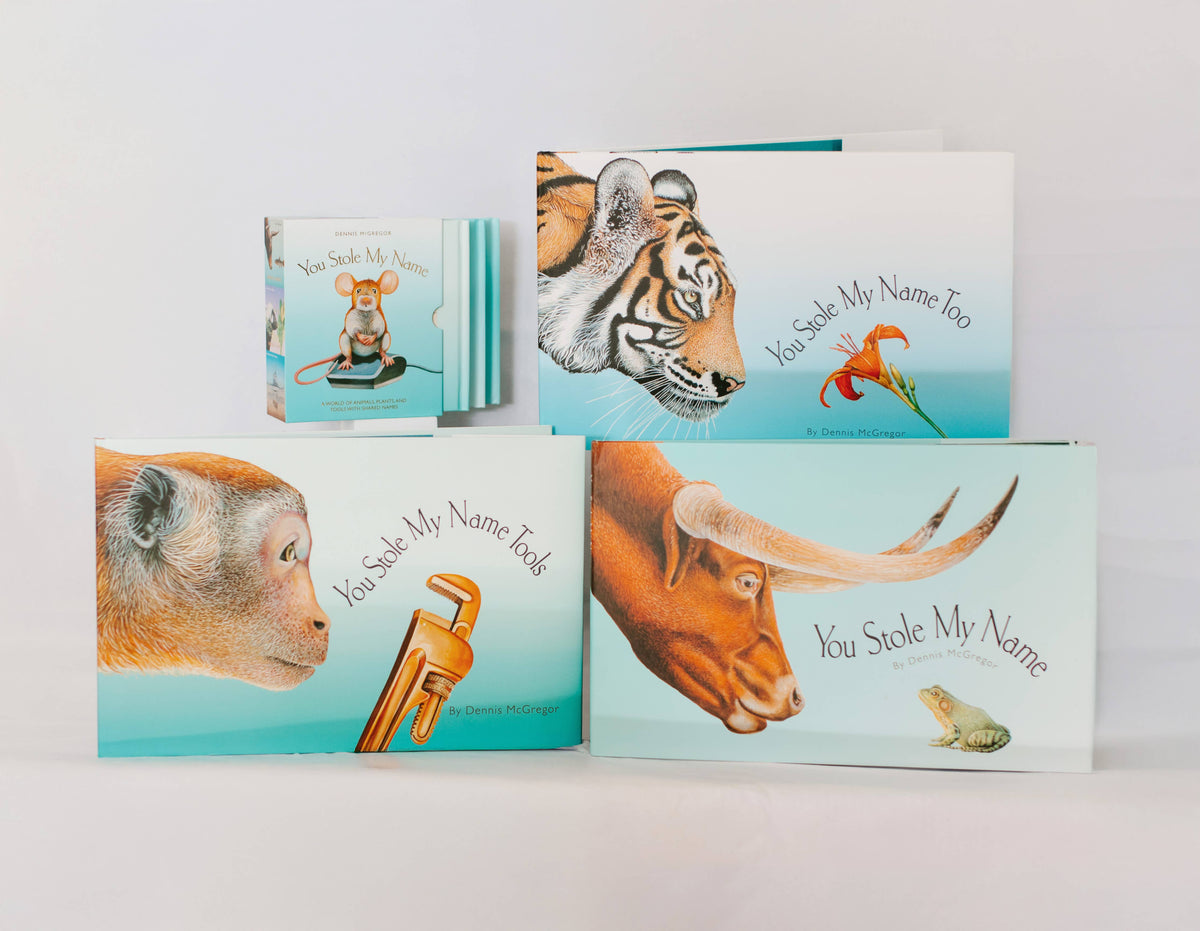 You Stole My Name: Picture Book for Kids