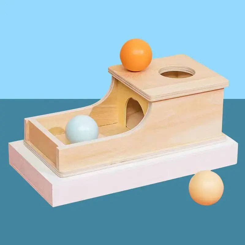 Montessori Wooden Ball Box