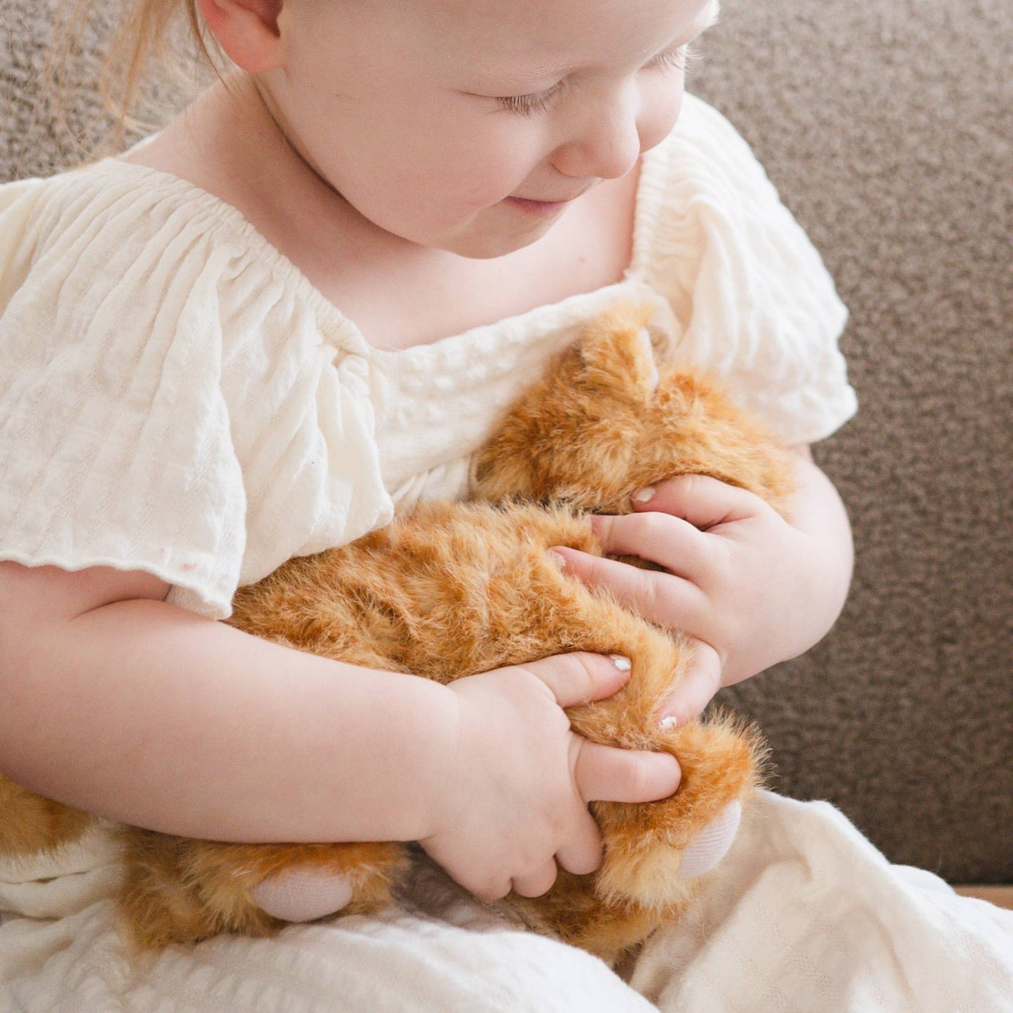 Munchkin & House (cat)