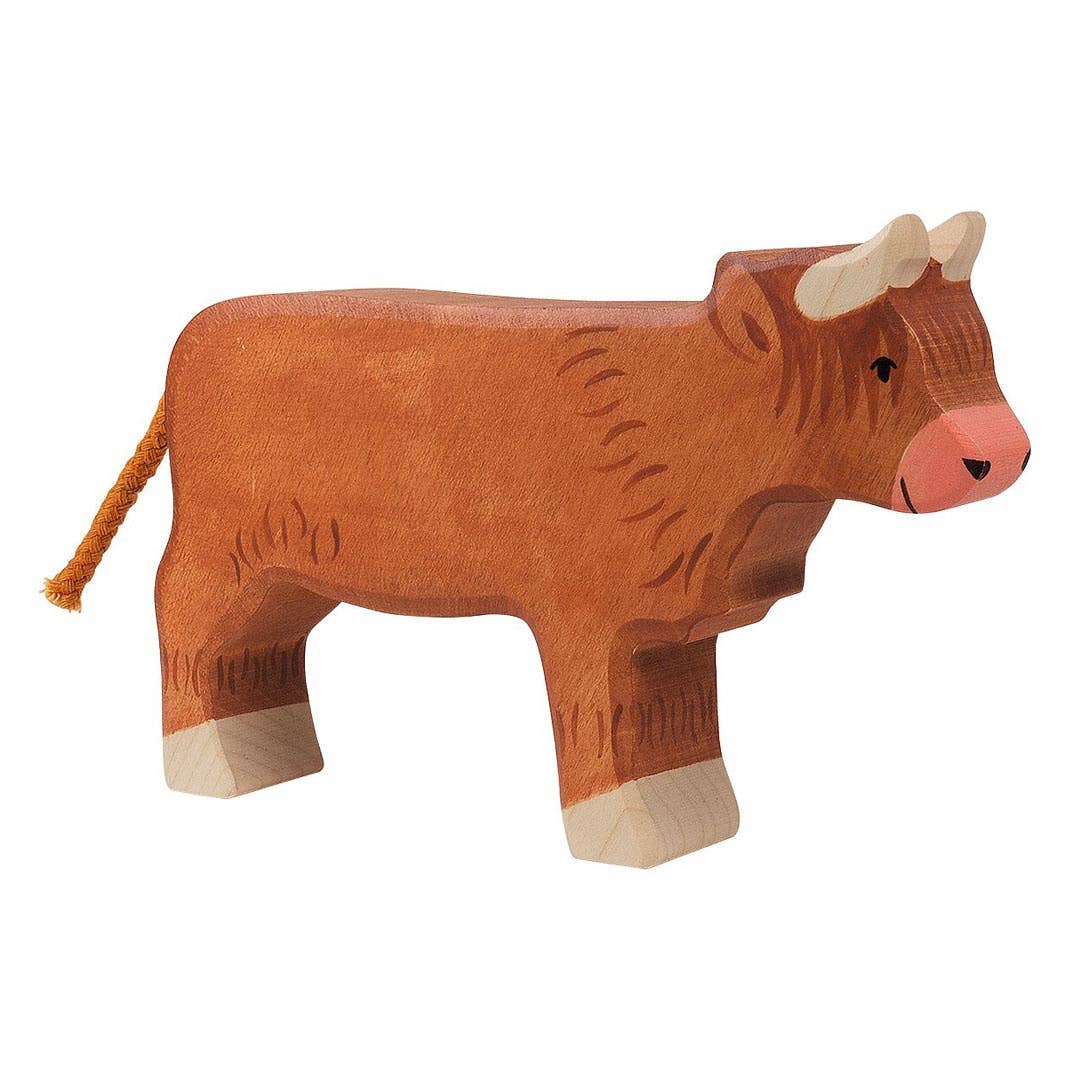 Highland cattle, standing