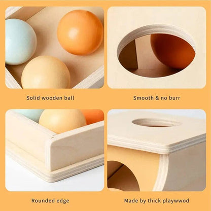 Montessori Wooden Ball Box