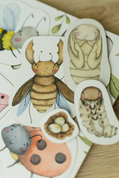 Insects' Life Cycle Wooden Puzzle