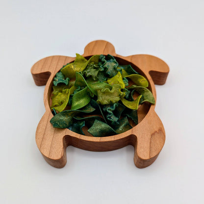 Mini Turtle Sensory Play Tray