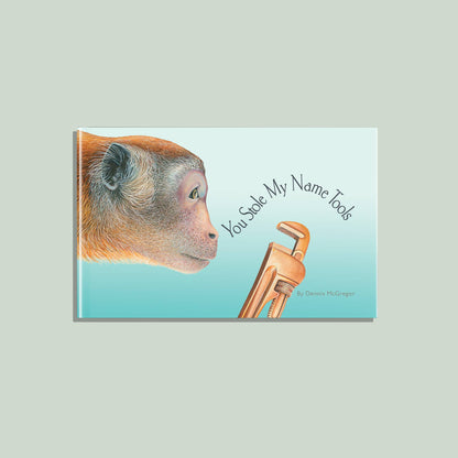 You Stole My Name Tools: Children's Picture Book