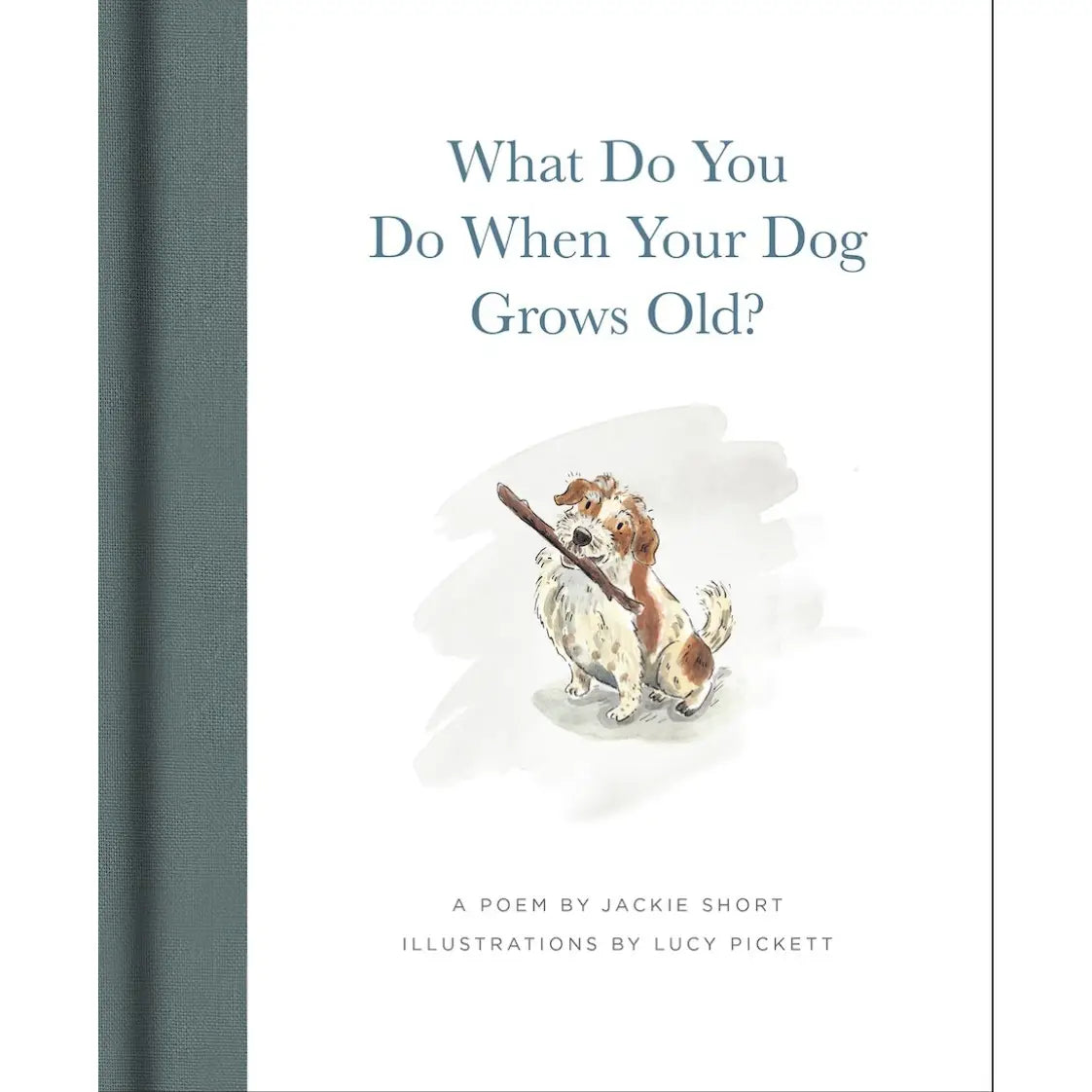 What Do You Do When Your Dog Grows Old?