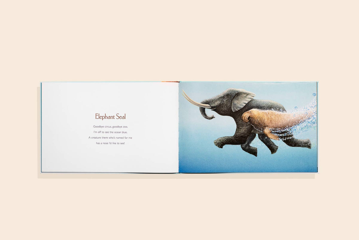 You Stole My Name: Picture Book for Kids