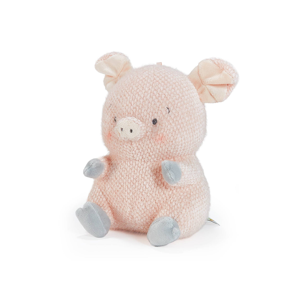 Baby Hammie the Pig