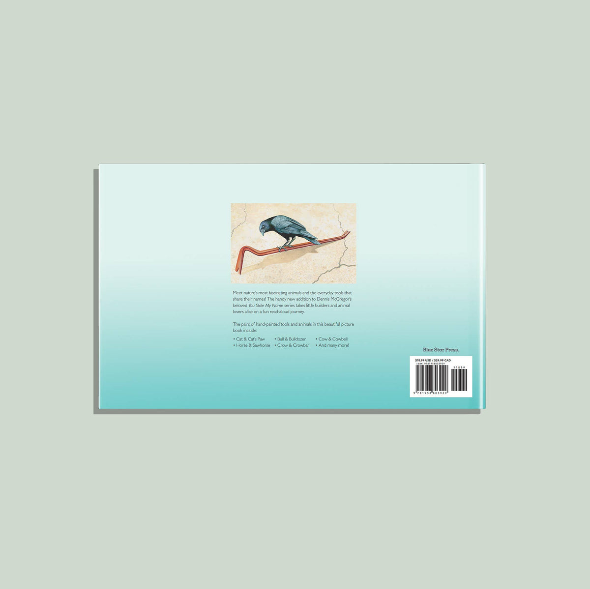 You Stole My Name Tools: Children's Picture Book