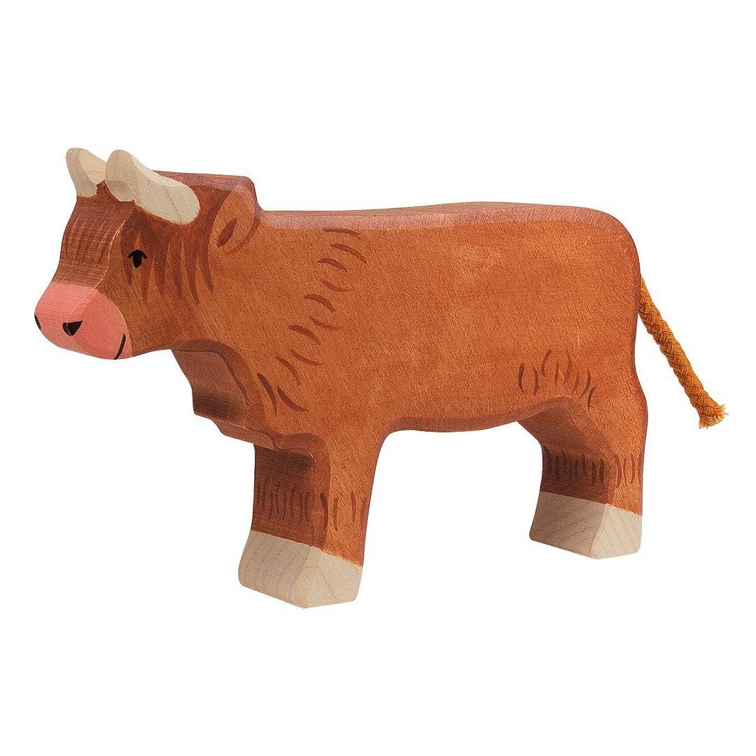 Highland cattle, standing