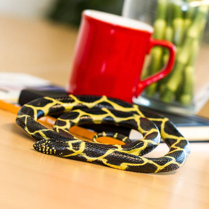 Chain Kingsnake
