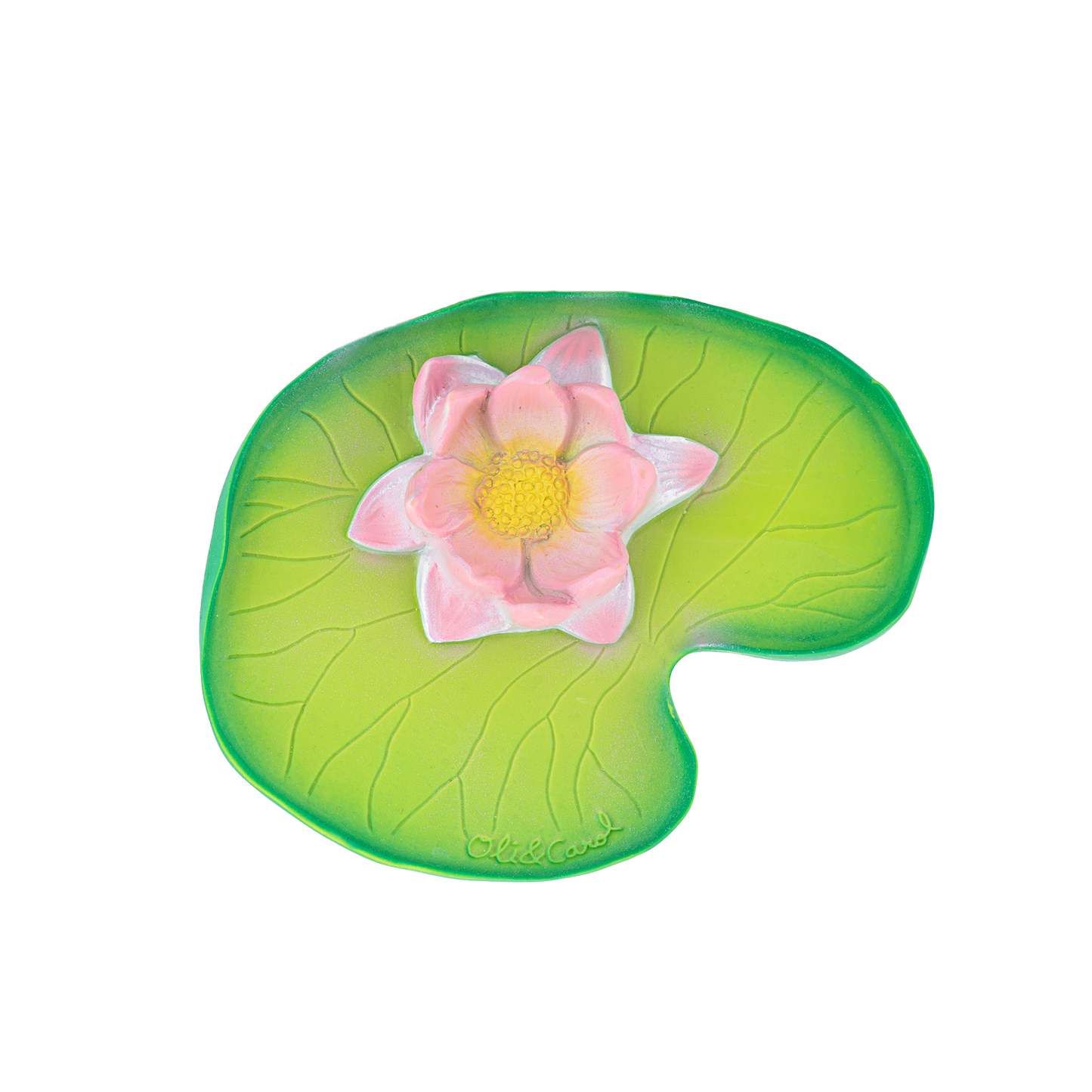 Water Lily