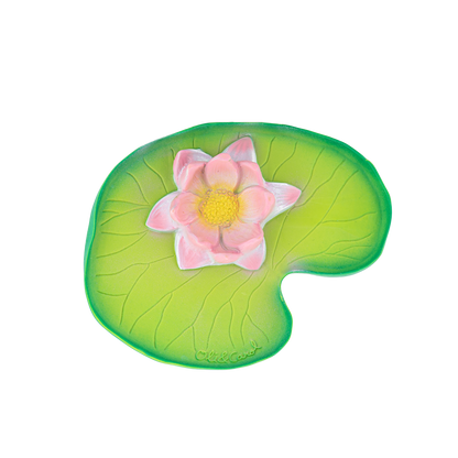 Water Lily