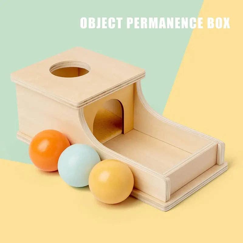 Montessori Wooden Ball Box