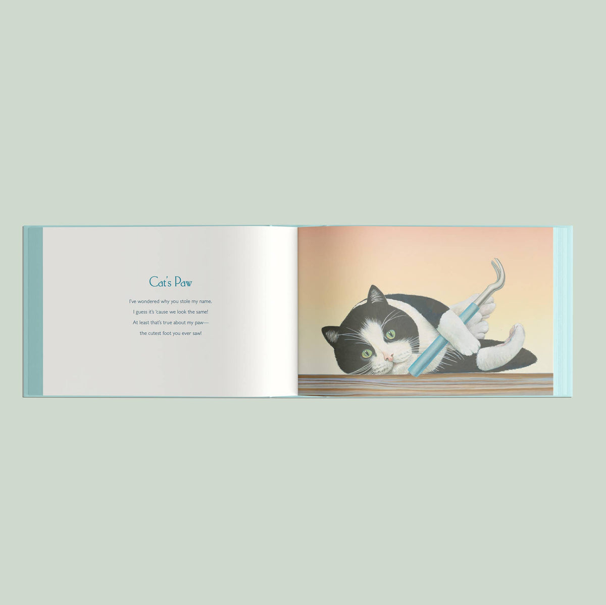 You Stole My Name Tools: Children's Picture Book