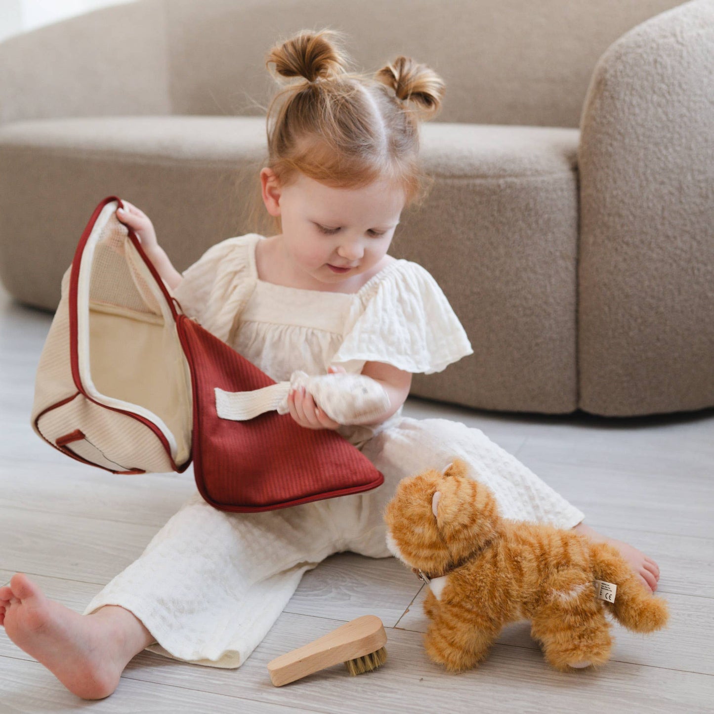 Munchkin & House (cat)