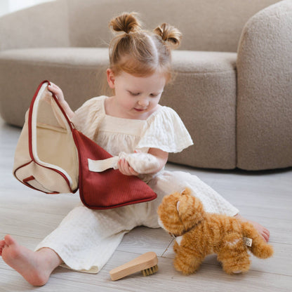 Munchkin & House (cat)