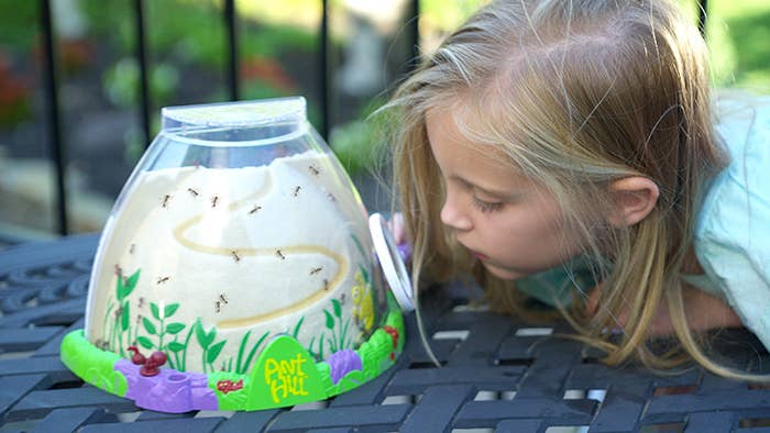 Ant Hill™ Tunneling Kit with PREPAID Voucher