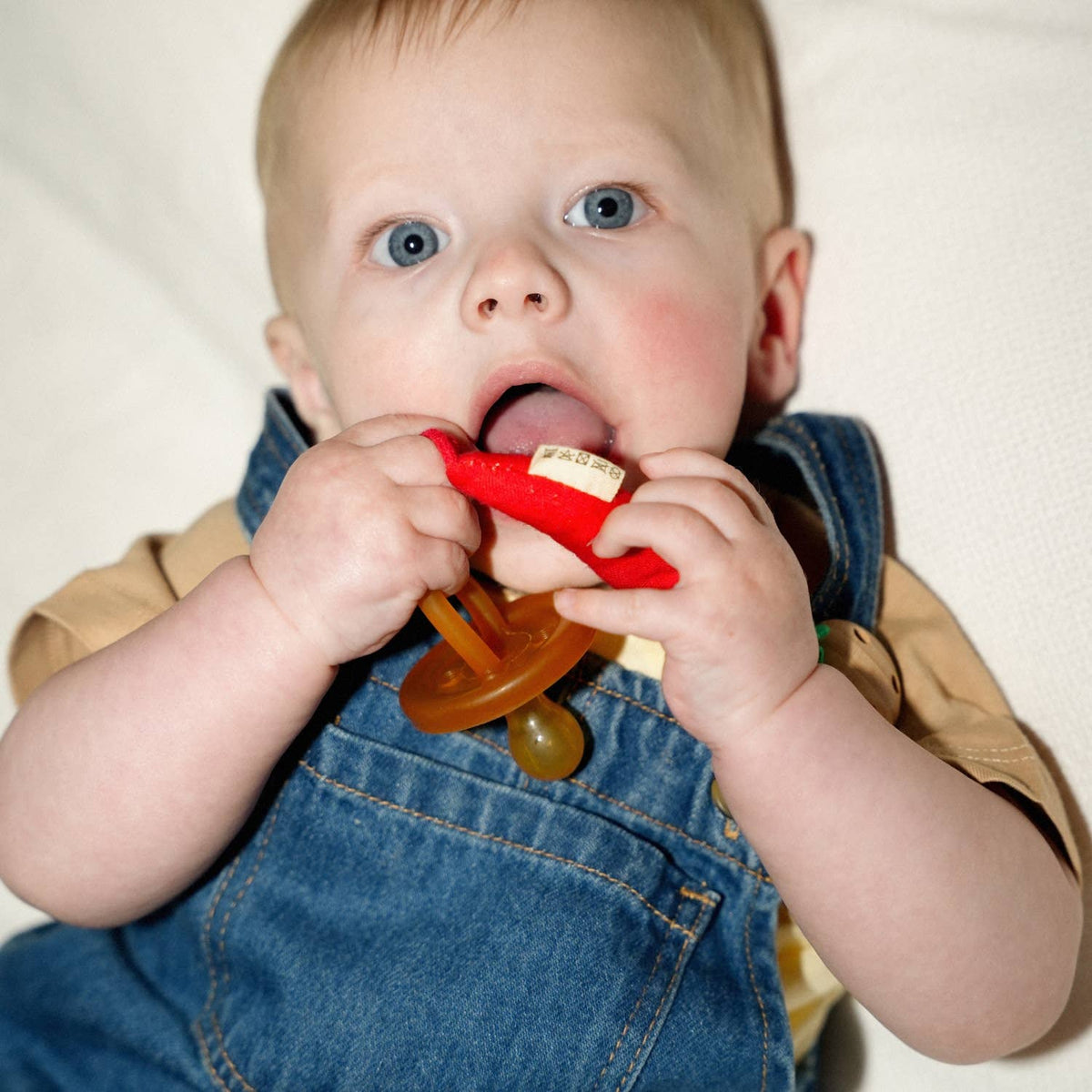 Charly the Chili Pacifier Clip