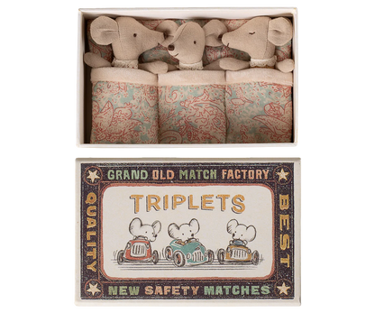 Triplets, Baby Mice in Matchbox